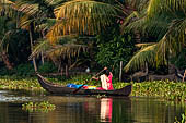 Kerala backwaters, our three hours neighborhood tour in the narrow canoe towards Vembanad Lake and along one of the  narrow canal running near our guest house at Kumarakom. 